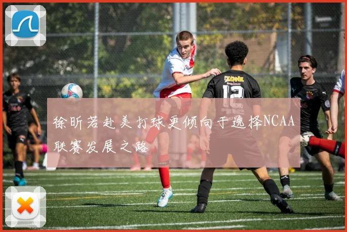 徐昕若赴美打球更倾向于选择NCAA联赛发展之路